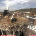 14_00-nest.jpg