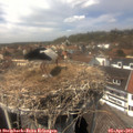 14_05-nest.jpg