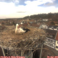 14_20-nest.jpg