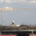 14_35-mast.jpg