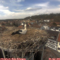 14_40-nest.jpg