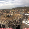 15_05-nest.jpg
