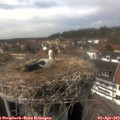 15_10-nest.jpg
