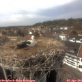 15_15-nest.jpg