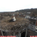 16_25-nest.jpg