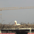 16_35-mast.jpg