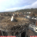 16_35-nest.jpg