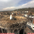 16_40-nest.jpg