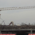 16_45-mast.jpg