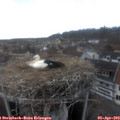 16_55-nest.jpg