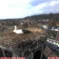 17_10-nest.jpg