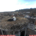 18_00-nest.jpg