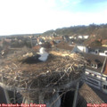 18_05-nest.jpg