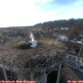 18_10-nest.jpg