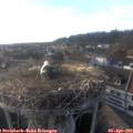 18_25-nest.jpg
