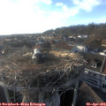 18_35-nest.jpg