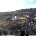 18_40-nest.jpg