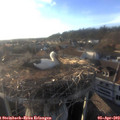 18_55-nest.jpg