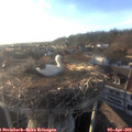 19_00-nest.jpg