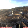 19_05-nest.jpg