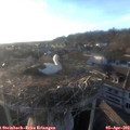 19_10-nest.jpg