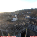 19_25-nest.jpg
