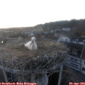 19_50-nest.jpg