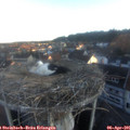 07_00-nest.jpg