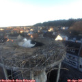 07_05-nest.jpg