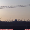 07_10-mast.jpg