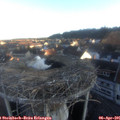 07_10-nest.jpg