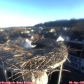 07_20-nest.jpg