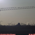 07_30-mast.jpg