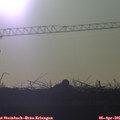 07_40-mast.jpg