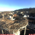 07_45-nest.jpg
