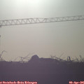 07_50-mast.jpg