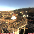 08_05-nest.jpg