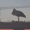 08_40-mast.jpg