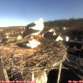 08_40-nest.jpg