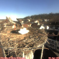 08_55-nest.jpg