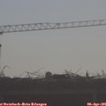 09_00-mast.jpg