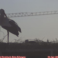 09_05-mast.jpg