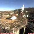 09_05-nest.jpg