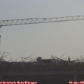 09_10-mast.jpg