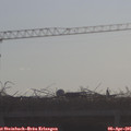 09_15-mast.jpg