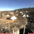 09_15-nest.jpg