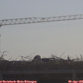 09_20-mast.jpg