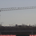 09_25-mast.jpg