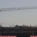 09_30-mast.jpg