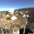 09_45-nest.jpg